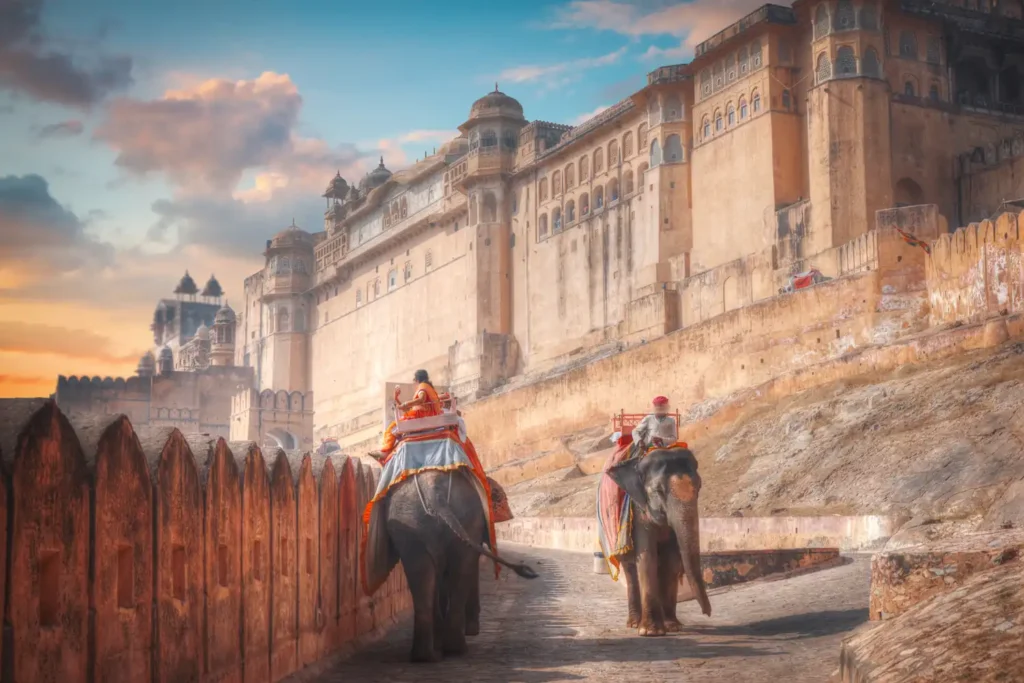 elephant ride